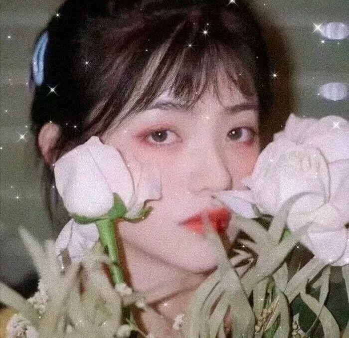 我的生命之光